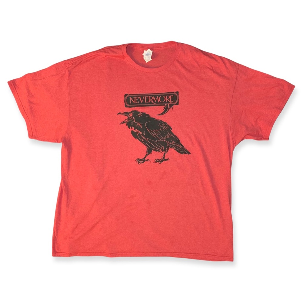 Edgar Allan Poe Nevermore graphic t-shirt